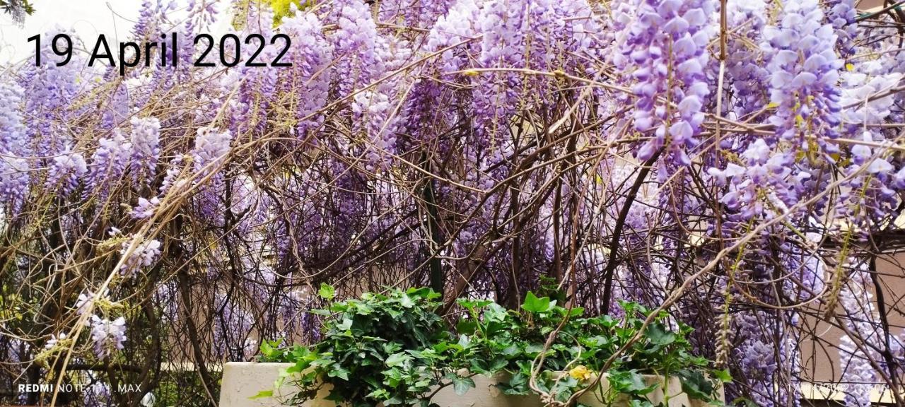 Garden House - Luxury Guest House - Overnight Stay Only Ρώμη Εξωτερικό φωτογραφία
